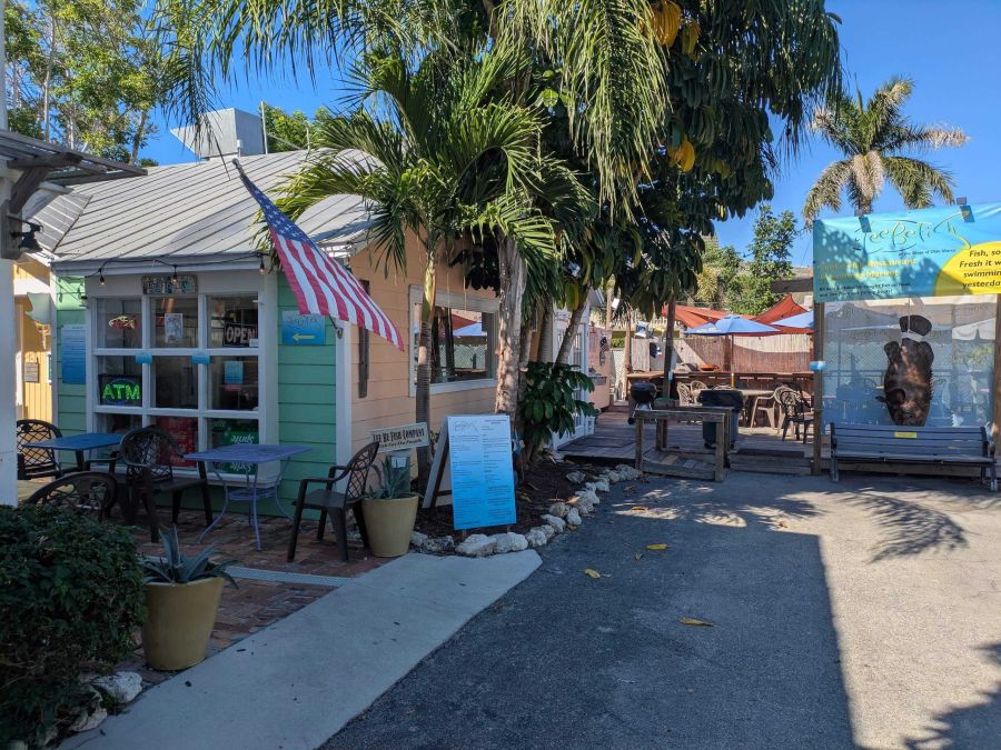 Lee bee fish marco island